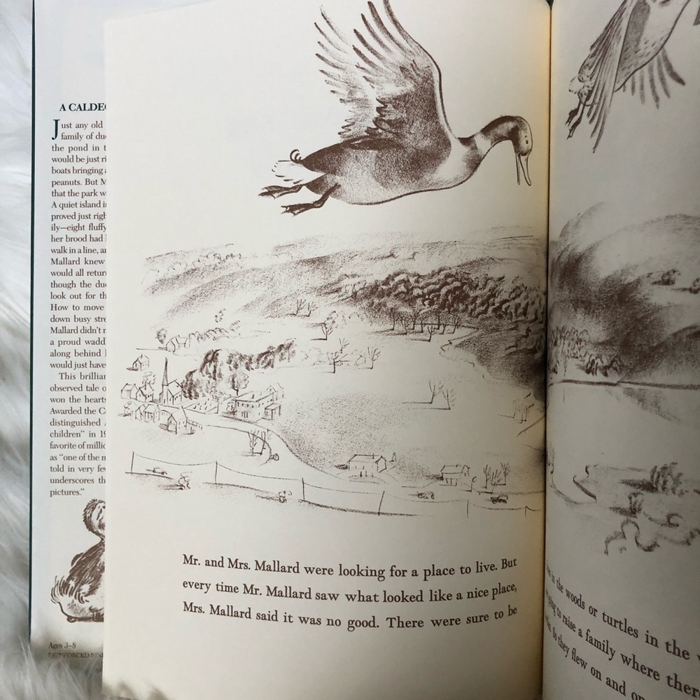 Children’s Books - Picture 10 of 15